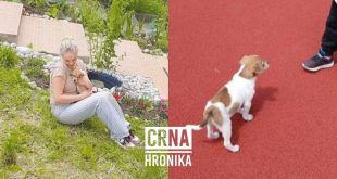 Nestalo štene u Sarajevu! Vlasnica iz Austrije nudi 500 KM nagrade: “Srce mi puca, pomozite mi!”