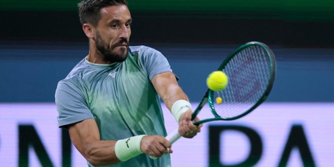 HEROJSKA BORBA DŽUMHURA PROTIV ALCARAZA: Bh. teniser oduševio Pariz uprkos porazu