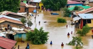 Katastrofalne poplave u Nigeriji: Najmanje 151 osoba izgubila život, hiljade raseljene