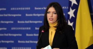Sanja Vulić: Zbog najezde pacova u Sarajevu, možda se i mi zarazimo