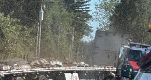 UŽAS NA CESTI: Prevrnuo se kamion s 250 MILIONA PČELA