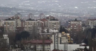 PANIKA U NIŠU: Građani masovno zovu zbog zmija – Zoo Planet zatrpan pozivima, apeluju na strpljenje