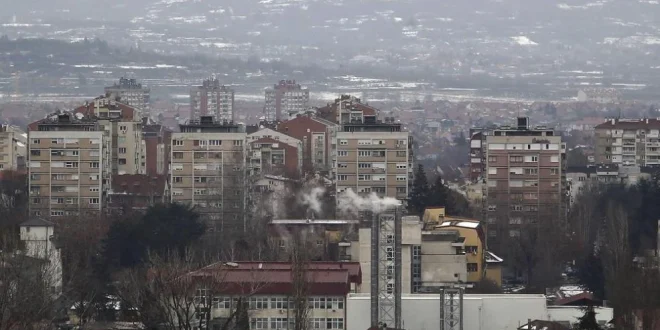 PANIKA U NIŠU: Građani masovno zovu zbog zmija – Zoo Planet zatrpan pozivima, apeluju na strpljenje