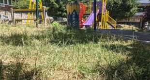 OPREZ RODITELJI: Opasan otrov pronađen pored dječijeg igrališta u Sarajevu