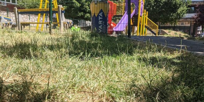 OPREZ RODITELJI: Opasan otrov pronađen pored dječijeg igrališta u Sarajevu