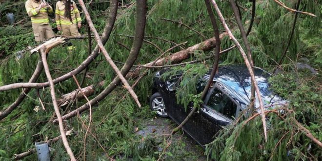 Razorna oluja pogodila Tirol: Grad razbijao prozore, bujice potopile ulice, stabla padala na automobile