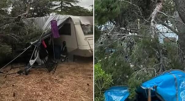 Jako nevrijeme pogodilo Hrvatsku: Povrijeđeni u kampovima, vjetar rušio stabla i nosio brodice