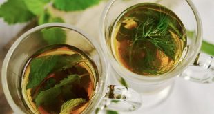 Prirodni lijekovi protiv urinarnih infekcija: Uvin čaj, peršun i brusnica pružaju moćnu zaštitu