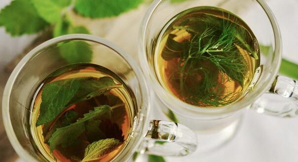 Prirodni lijekovi protiv urinarnih infekcija: Uvin čaj, peršun i brusnica pružaju moćnu zaštitu