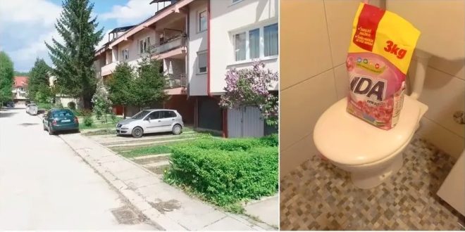 Stanarka Dobrinje pronašla pacova u WC šolji, slični slučajevi i na Alipašinom Polju